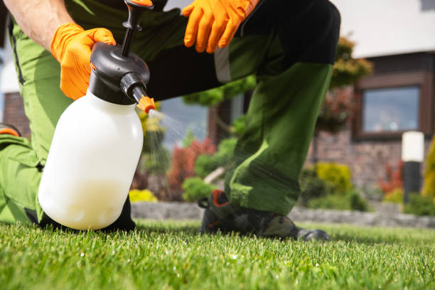 Pest Control Cost in Olyphant, PA